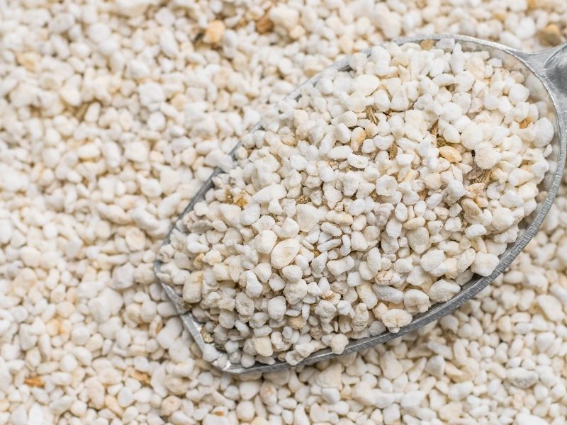 perlite, which are small little pebbles that look like tiny white rocks, being scooped up with a silver scooper, also a good ingredient in potting mix for aroid plants